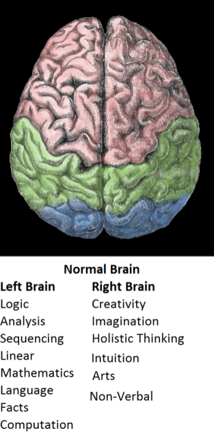 brain 1.